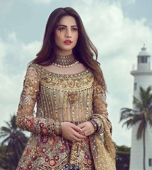 FEPIC ROSEMEEN C 1128 