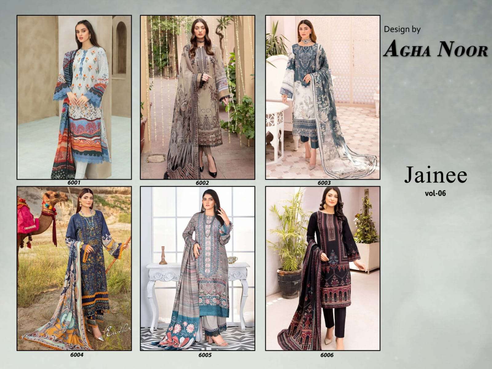 AGHA NOOR JAINEE VOL 6 LUXURY LAWN COLLECTION