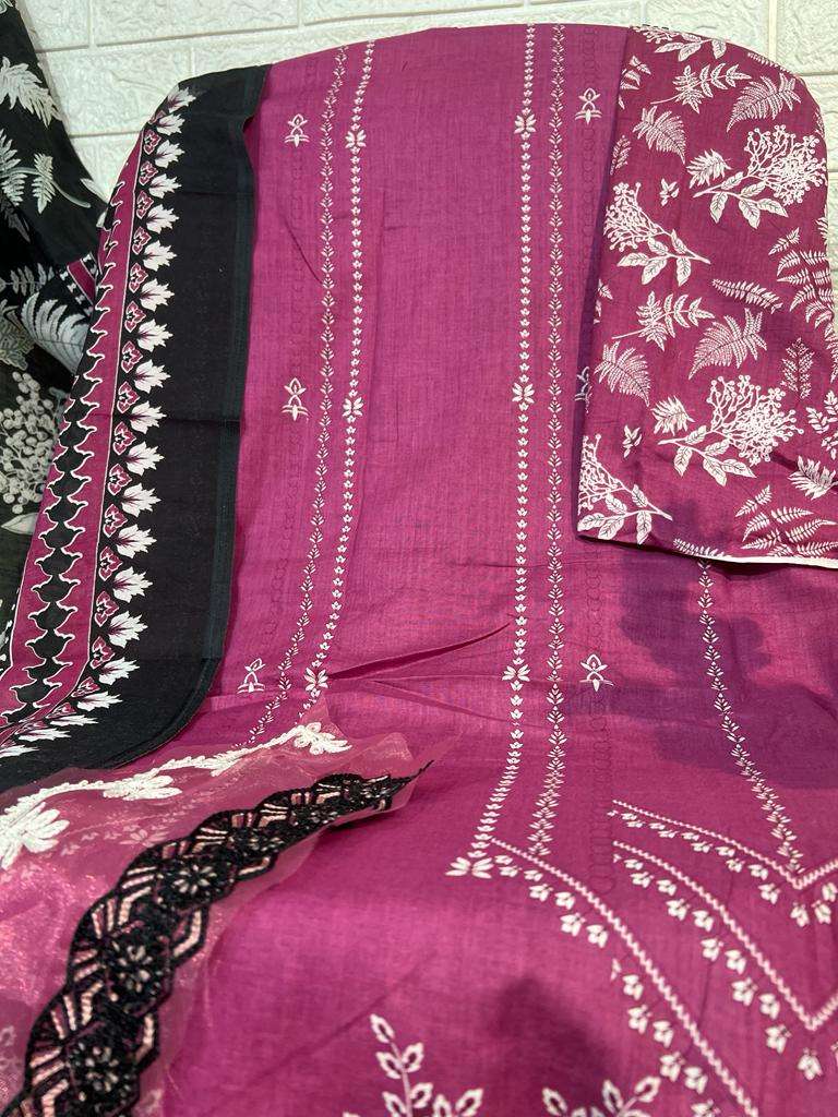 HAZZEL M PRINTS BASICS HIT COLOUR