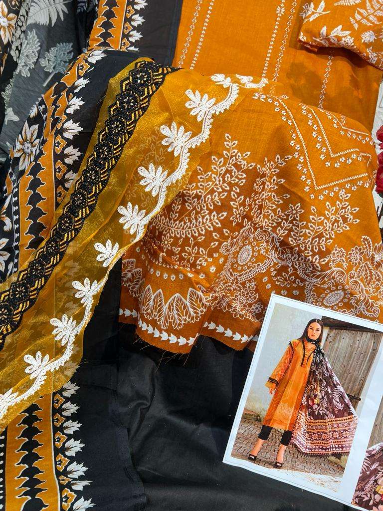 HAZZEL M PRINTS BASICS HIT COLOUR