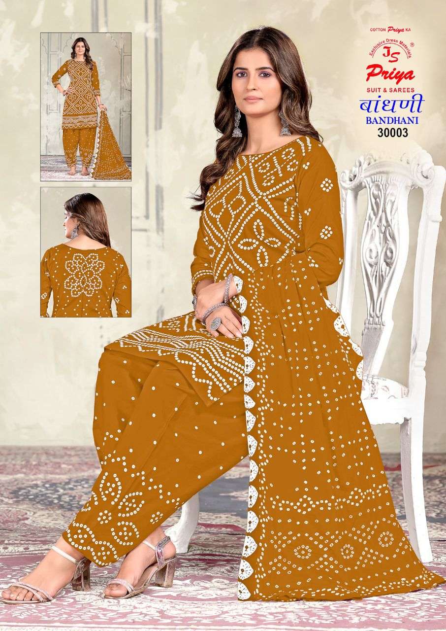 JS PRIYA BANDHANI SPECIAL VOL 30 